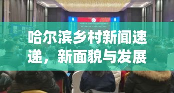 哈爾濱鄉(xiāng)村新聞速遞，新面貌與發(fā)展活力展現(xiàn)