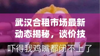 武漢合租市場(chǎng)最新動(dòng)態(tài)揭秘，談價(jià)技巧與租房攻略分享
