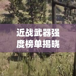 近戰(zhàn)武器強度榜單揭曉，前十名武器實力比拼！