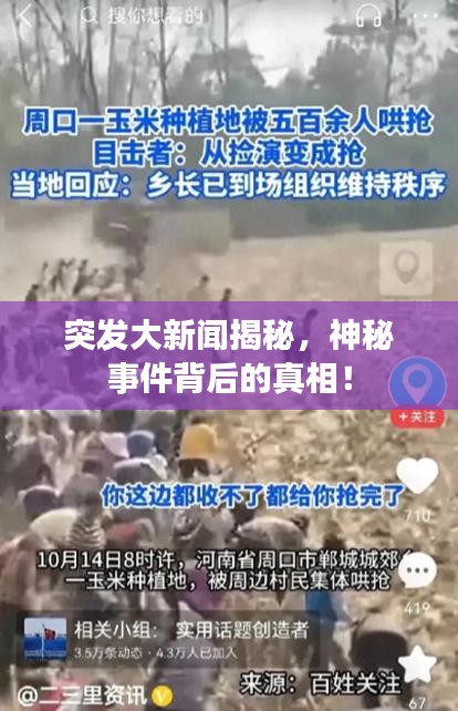 突發(fā)大新聞揭秘，神秘事件背后的真相！
