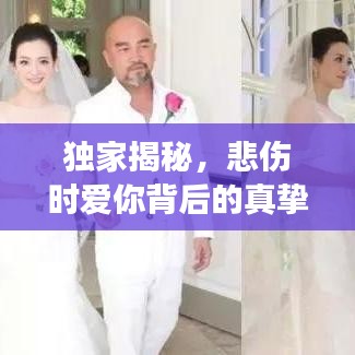 獨(dú)家揭秘，悲傷時(shí)愛你背后的真摯情感故事