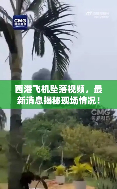 西港飛機(jī)墜落視頻，最新消息揭秘現(xiàn)場情況！