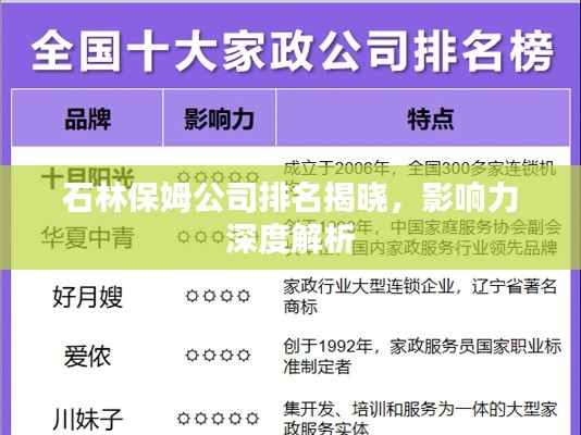 石林保姆公司排名揭曉，影響力深度解析