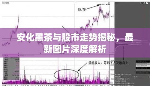 安化黑茶與股市走勢揭秘，最新圖片深度解析