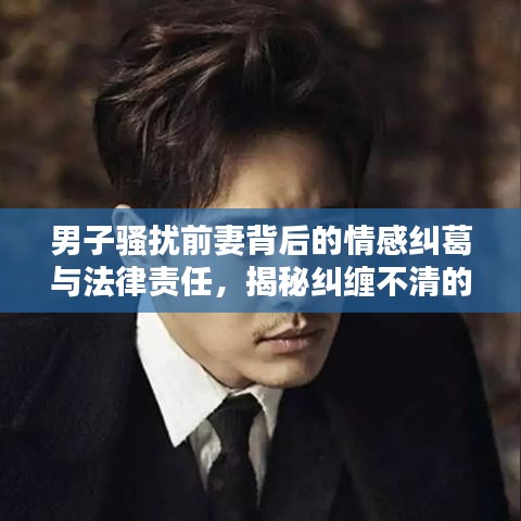 男子騷擾前妻背后的情感糾葛與法律責(zé)任，揭秘糾纏不清的法律紅線