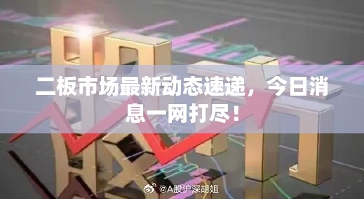 二板市場最新動態(tài)速遞，今日消息一網(wǎng)打盡！