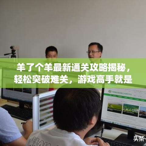 羊了個(gè)羊最新通關(guān)攻略揭秘，輕松突破難關(guān)，游戲高手就是你！