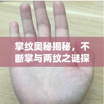 掌紋奧秘揭秘，不斷掌與兩紋之謎探秘