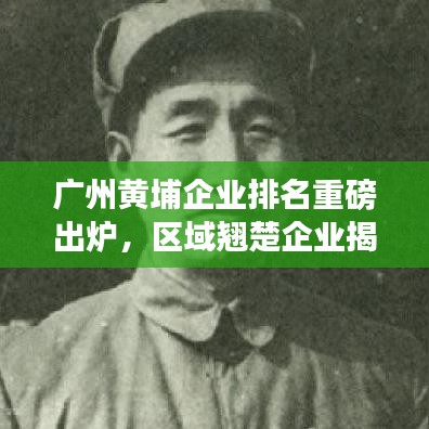 廣州黃埔企業(yè)排名重磅出爐，區(qū)域翹楚企業(yè)揭曉