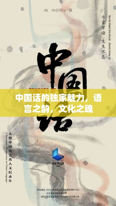 中國(guó)話的獨(dú)家魅力，語言之韻，文化之魂