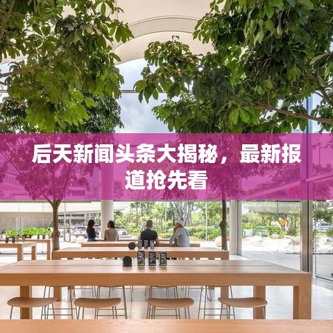 后天新聞?lì)^條大揭秘，最新報(bào)道搶先看