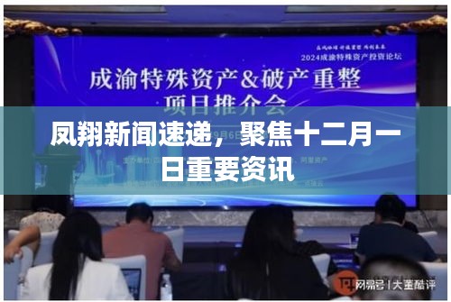 鳳翔新聞速遞，聚焦十二月一日重要資訊