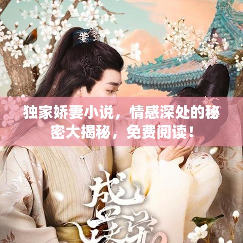 獨家嬌妻小說，情感深處的秘密大揭秘，免費閱讀！