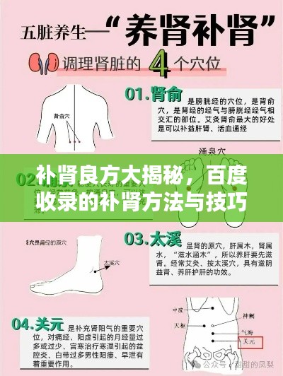 補腎良方大揭秘，百度收錄的補腎方法與技巧