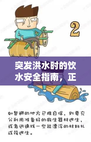 突發(fā)洪水時的飲水安全指南，正確飲水視頻教程助你應(yīng)對危機(jī)