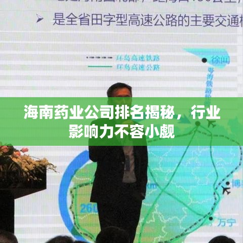 海南藥業(yè)公司排名揭秘，行業(yè)影響力不容小覷
