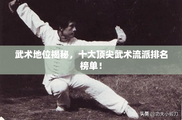 武術(shù)地位揭秘，十大頂尖武術(shù)流派排名榜單！