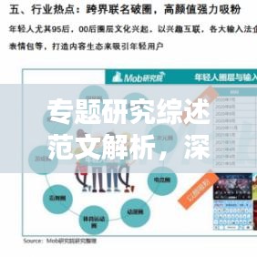 專題研究綜述范文解析，深度洞察，引領(lǐng)學(xué)術(shù)潮流
