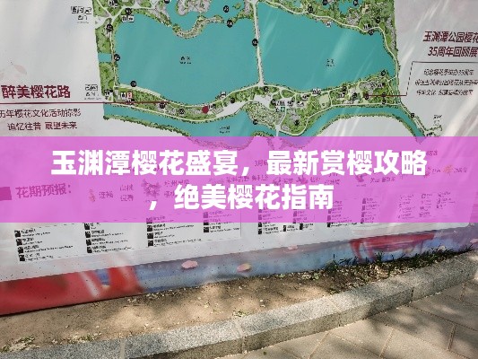 玉淵潭櫻花盛宴，最新賞櫻攻略，絕美櫻花指南