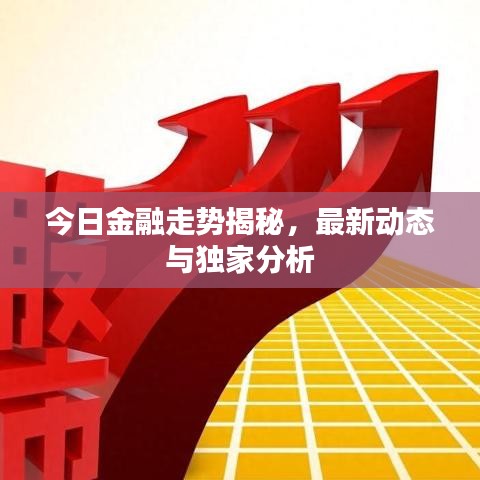 今日金融走勢揭秘，最新動態(tài)與獨家分析