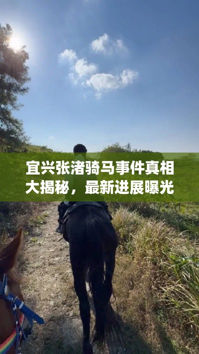 宜興張渚騎馬事件真相大揭秘，最新進(jìn)展曝光