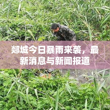 郯城今日暴雨來襲，最新消息與新聞報道