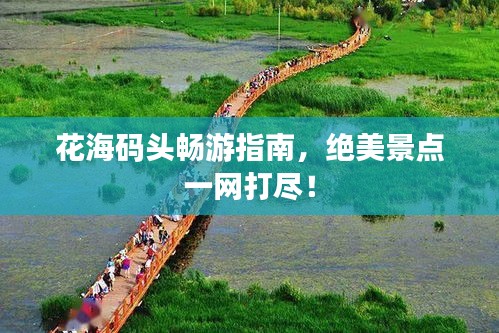 花海碼頭暢游指南，絕美景點(diǎn)一網(wǎng)打盡！