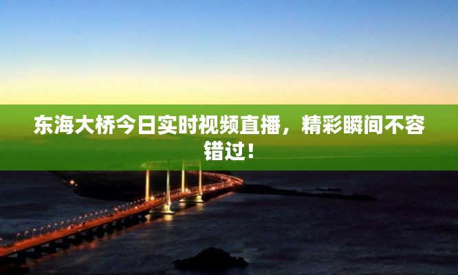 東海大橋今日實(shí)時(shí)視頻直播，精彩瞬間不容錯(cuò)過！