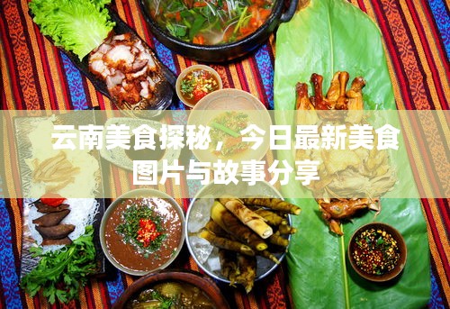 云南美食探秘，今日最新美食圖片與故事分享