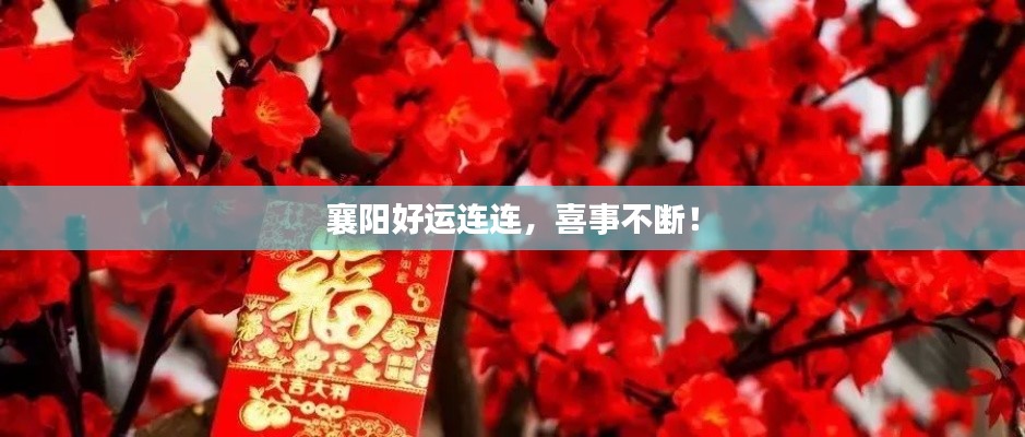 襄陽(yáng)好運(yùn)連連，喜事不斷！