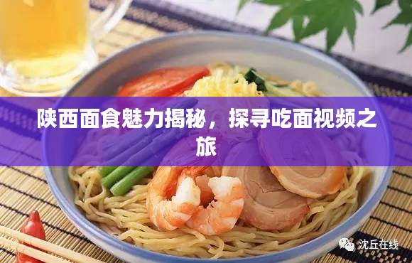 陜西面食魅力揭秘，探尋吃面視頻之旅