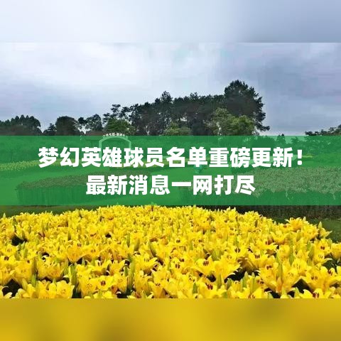 夢(mèng)幻英雄球員名單重磅更新！最新消息一網(wǎng)打盡