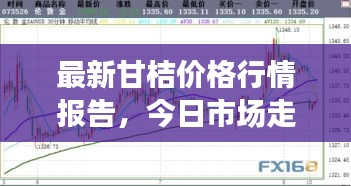 最新甘桔價(jià)格行情報(bào)告，今日市場走勢一網(wǎng)打盡！