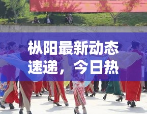 樅陽最新動態(tài)速遞，今日熱點消息一網打盡