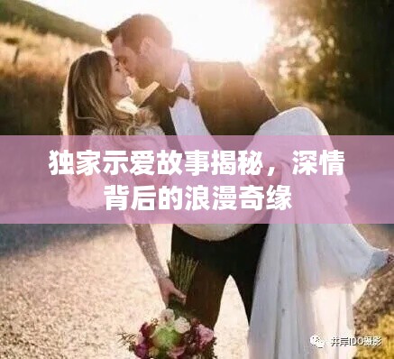 獨家示愛故事揭秘，深情背后的浪漫奇緣