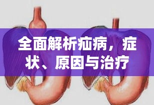 全面解析疝病，癥狀、原因與治療策略專題探討