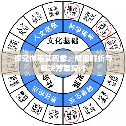 探究慢落實(shí)現(xiàn)象，成因解析與解決方案探討
