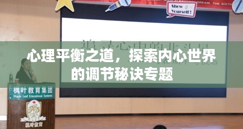 心理平衡之道，探索內(nèi)心世界的調(diào)節(jié)秘訣專題