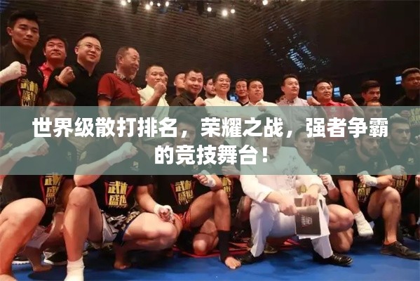 世界級散打排名，榮耀之戰(zhàn)，強者爭霸的競技舞臺！
