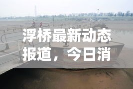 浮橋最新動(dòng)態(tài)報(bào)道，今日消息更新速遞