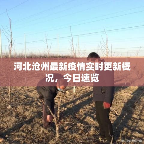 河北滄州最新疫情實時更新概況，今日速覽
