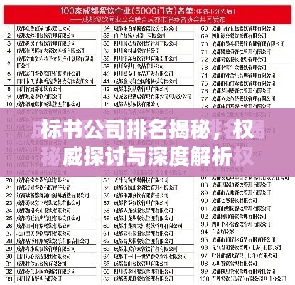 標(biāo)書公司排名揭秘，權(quán)威探討與深度解析