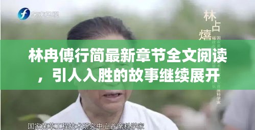 林冉傅行簡最新章節(jié)全文閱讀，引人入勝的故事繼續(xù)展開