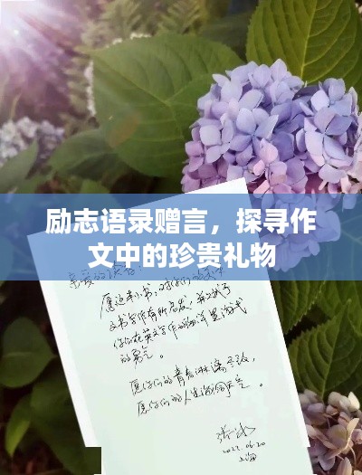 勵志語錄贈言，探尋作文中的珍貴禮物