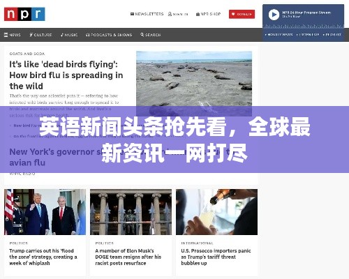英語新聞?lì)^條搶先看，全球最新資訊一網(wǎng)打盡