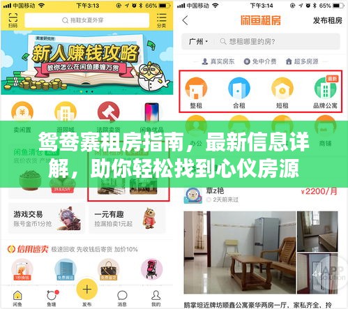 鴛鴦?wù)夥恐改?，最新信息詳解，助你輕松找到心儀房源