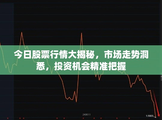 今日股票行情大揭秘，市場走勢洞悉，投資機會精準把握