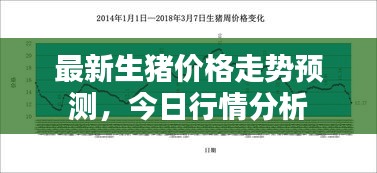 最新生豬價格走勢預測，今日行情分析