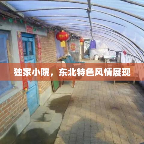 獨家小院，東北特色風(fēng)情展現(xiàn)