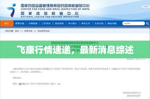 飛康行情速遞，最新消息綜述